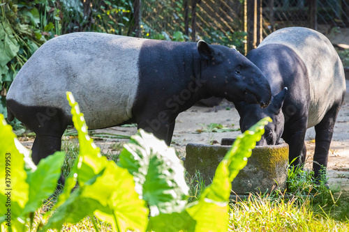Photography Zoo Kuala Lumpur, Malaysia, Animals, Birds, Reptiles