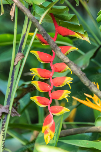 Photography Zoo Kuala Lumpur