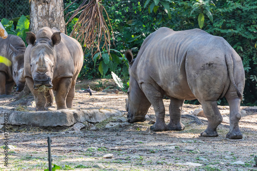 Photography Zoo Kuala Lumpur, Malaysia, Animals, Birds, Reptiles