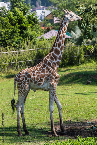Photography Zoo Kuala Lumpur, Malaysia, Animals, Birds, Reptiles
