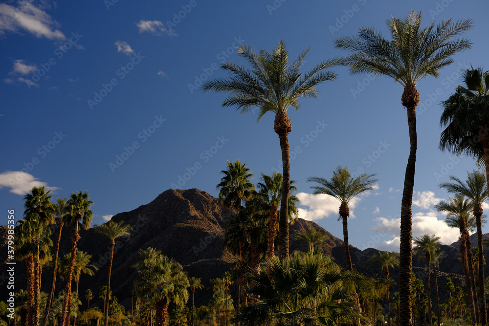 Desert landscape near Palm Springs, California. Desert landscape near Palm Springs, California.