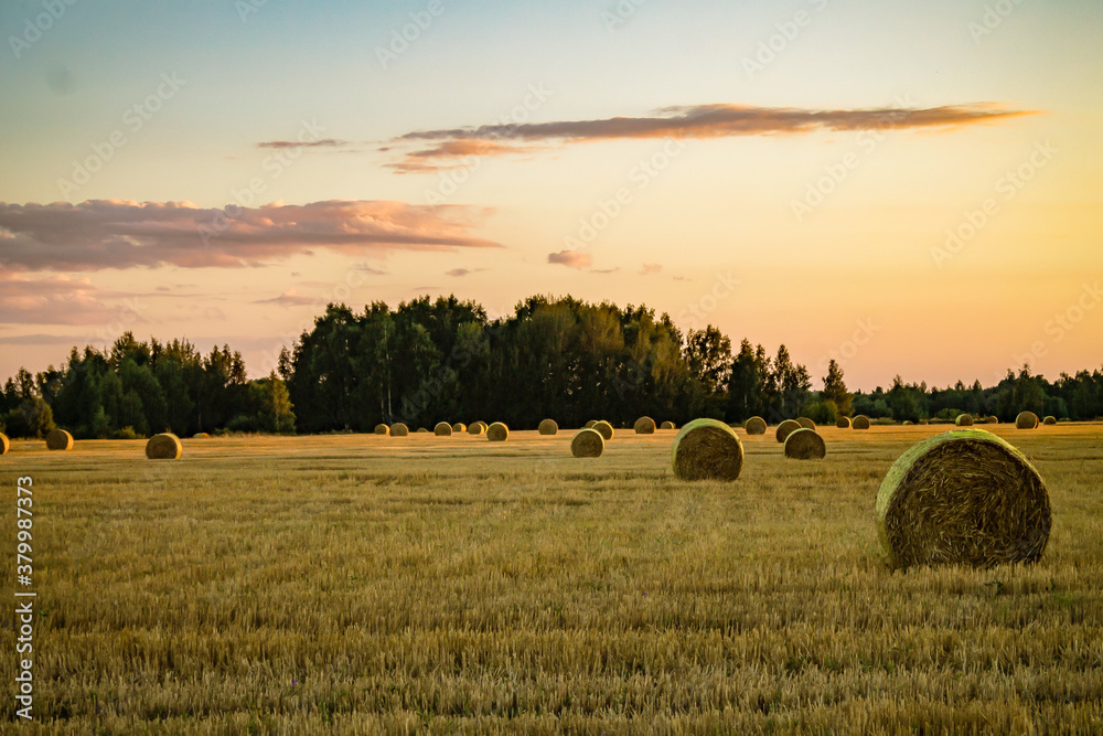 A well-dried field with haystacks