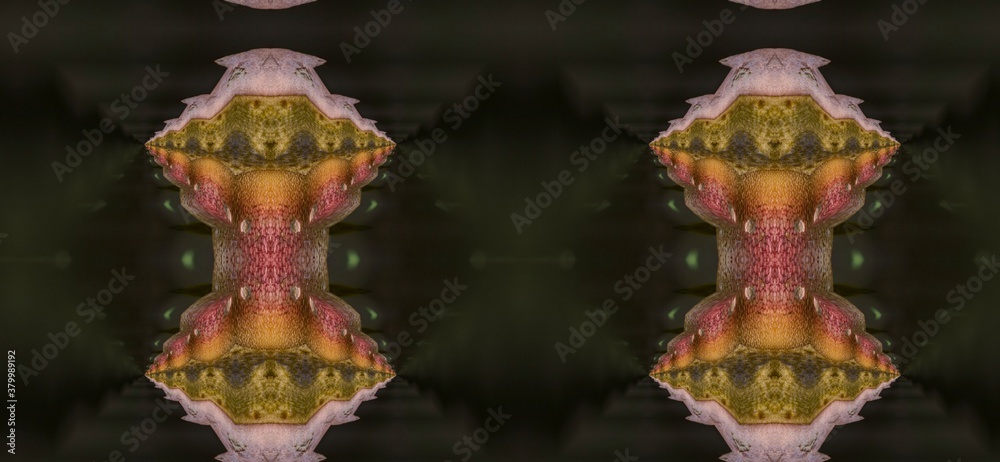 Obraz premium Beautiful abstract background design and pattern
