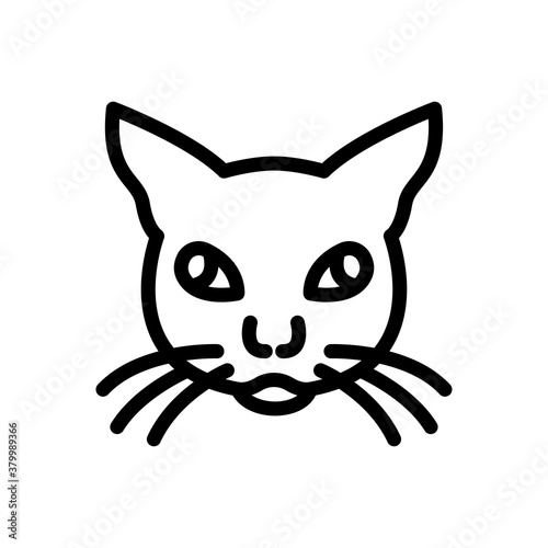 animal