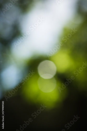 Backgound bokeh image in greens photo