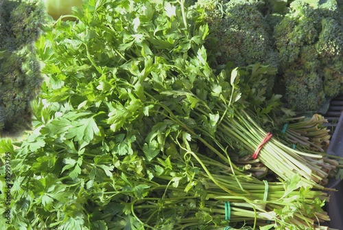 bunch of green parsley vegetable leaves 