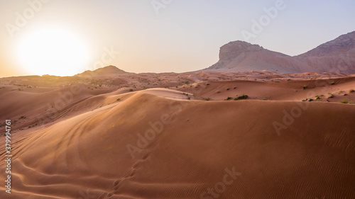 Meliha Desert Sand Dunes and Fossil Rocks © Abrar