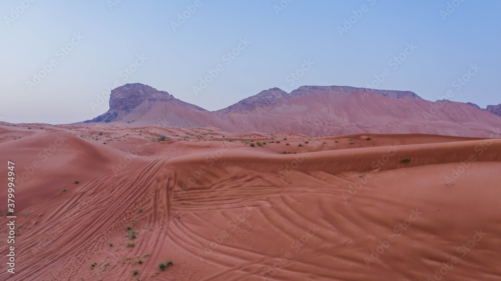 Naklejka premium Meliha Desert Sand Dunes and Fossil Rocks 