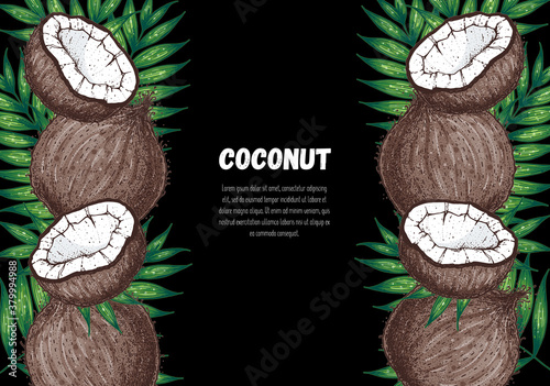 Coconut hand drawn vector illustration. Vintage design. Hand drawn illustration. Coconut and palm leaves. Healthy food