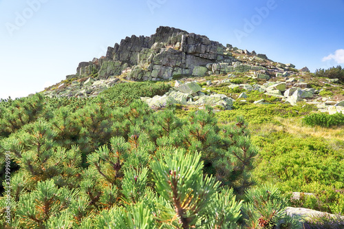 The rock formation Labski Szczyt or Violik (in Polish and Czech), is a mountain peak (1471 m above sea level) located in the Giant Mountains on the border between Poland and the Czech Republic. photo