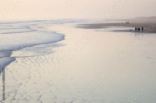 plage dans la brume