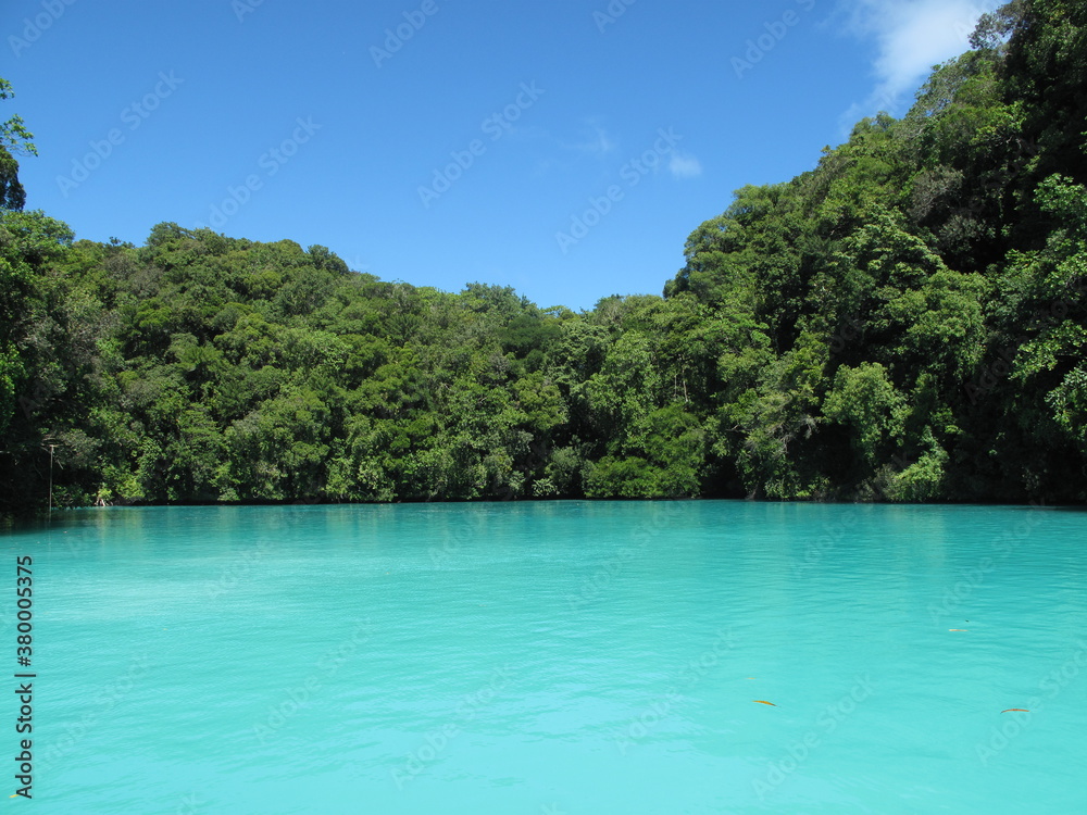 turquoise water with green trees on the island turquoise water with green trees on the island