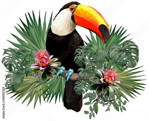 Vector Polygonal illustration of toucan bird.