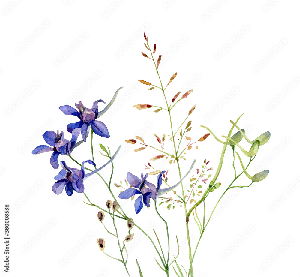 Watercolor blue wild flower on white background Watercolor blue wild flower on white background