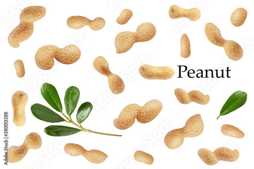 lots of peanuts in peel on white background