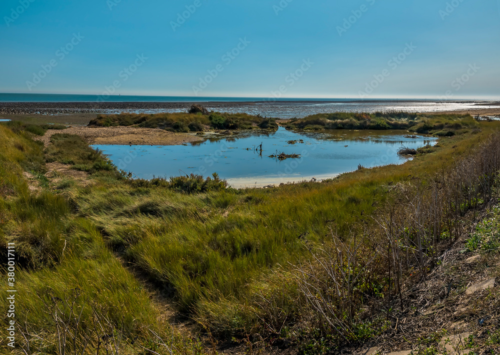 A view across the salt marshes out to sea from the East Mersea flats, UK in the summertime