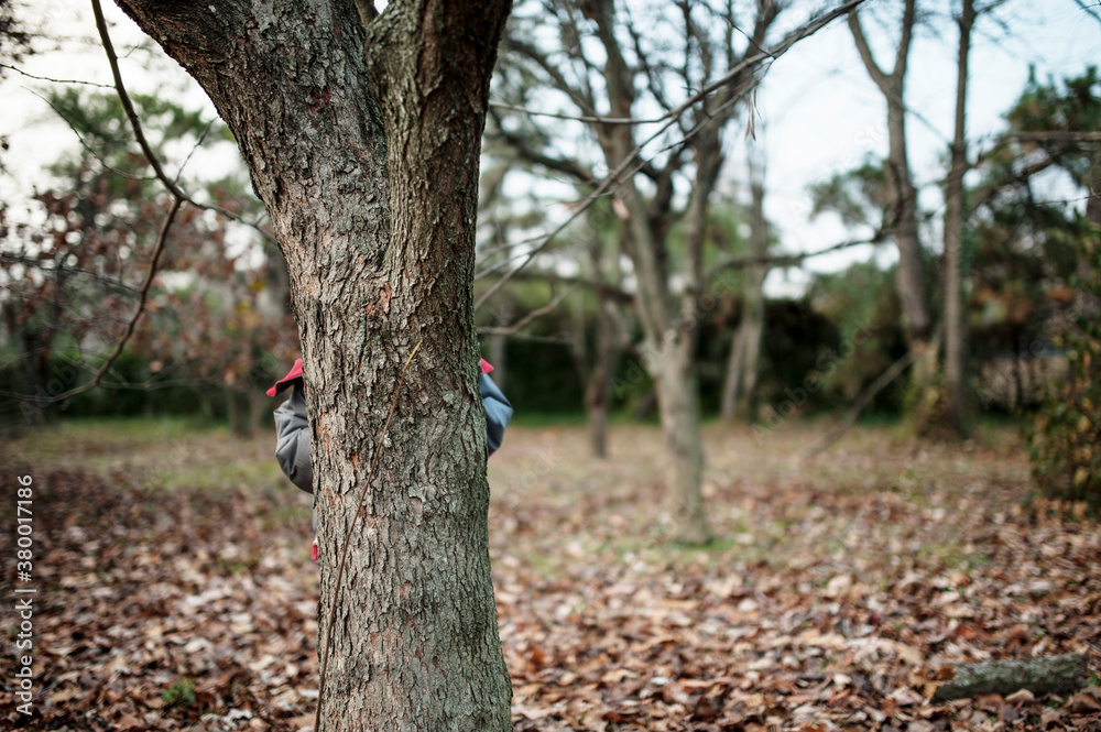 Boy Playing Hide And Seek Behind A Tree Boy Playing Hide And Seek Behind A Tree