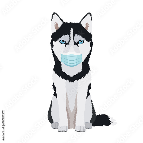 Vector hand drawn illustration of funny husky wearing face mask isolated on white background	
