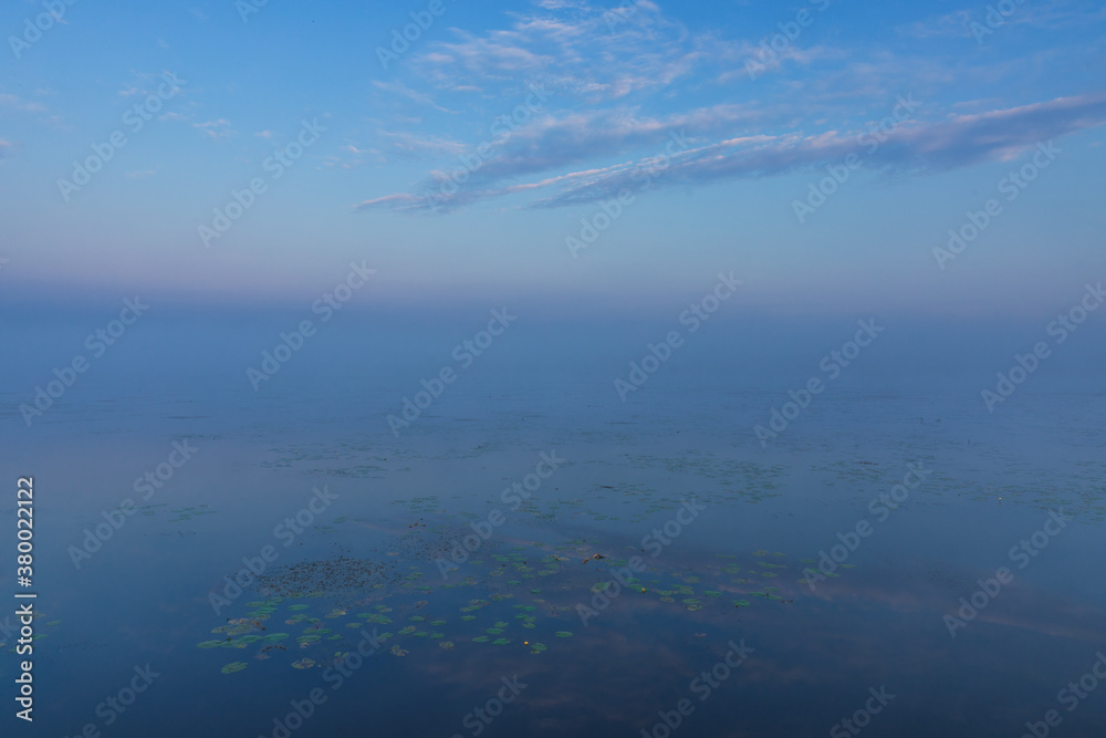 Fototapeta premium Seerosen im Federsee