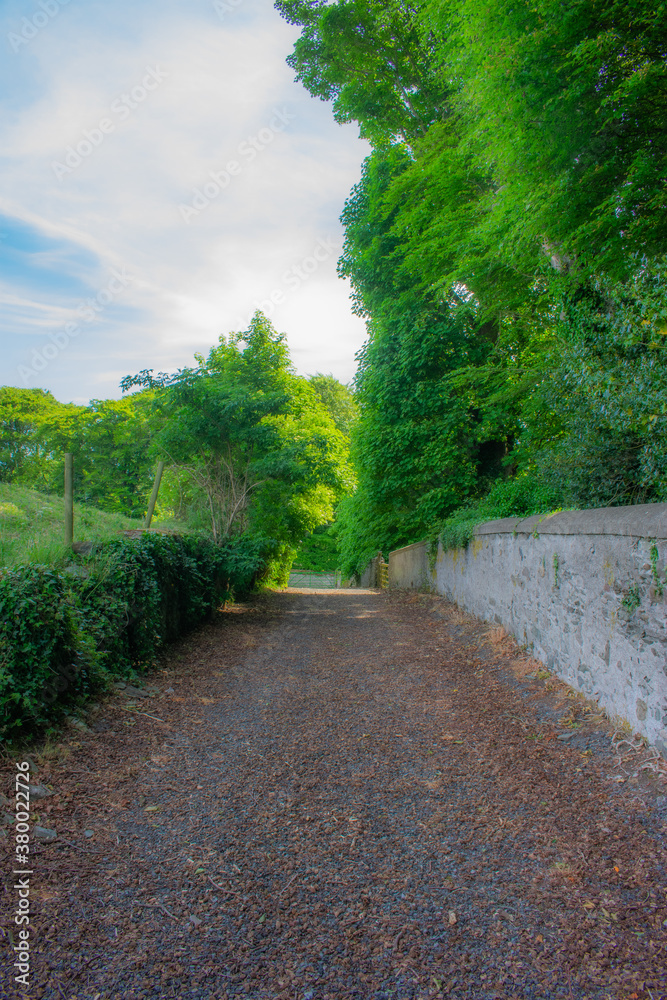 Green Irish Countryside on Sunny day