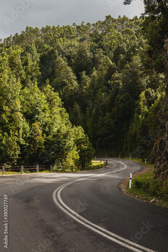 curving road through a forest, Tasmania