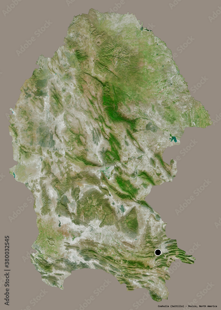 Coahuila, state of Mexico, on solid. Satellite