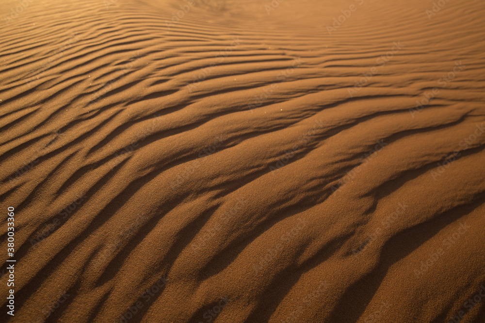 Patterns in the Sand Patterns in the Sand
