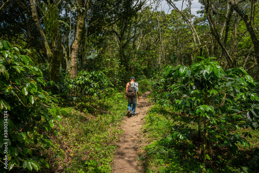 Amaga, Antioquia / Colombia. March 31, 2019. People walking through the countryside in mountainous landscape. Amaga, Antioquia / Colombia. March 31, 2019. People walking through the countryside in mountainous landscape.