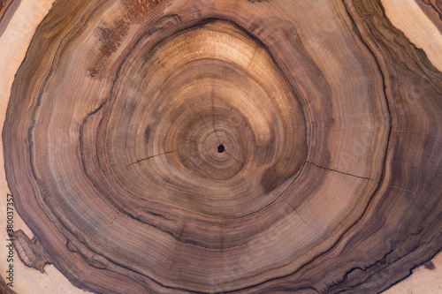 Cross section of walnut tree with growth rings. Abstract circular pattern on wooden slice as background