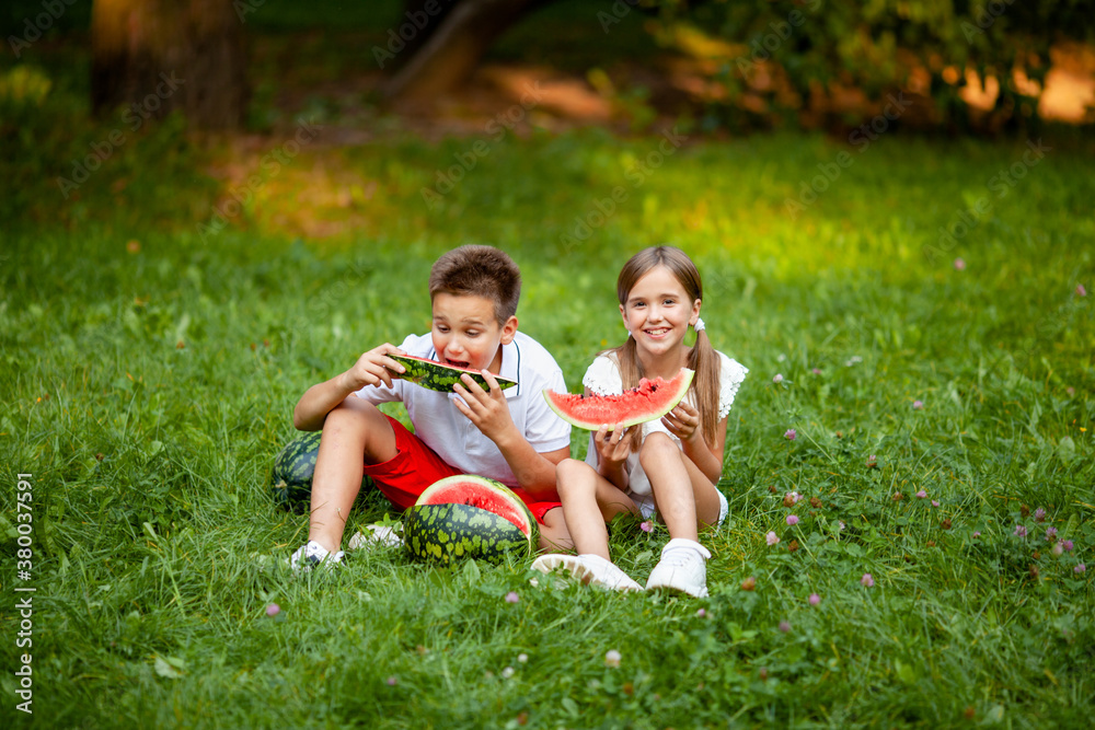 Fototapeta premium boy and girl sit on the grass and eat watermelon
