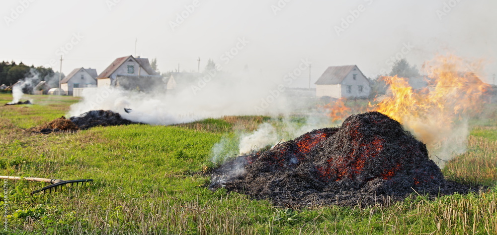 Εκτύπωση καμβά Burning hay stacks in field with smoke, burning dry potato tops in the European