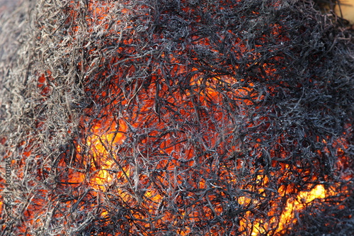 Smoldering fibers close up, glowing shines through the structure, black orange background texture