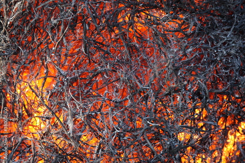 Smoldering hay fibers close-up, red glow shines through the structure, texture for background