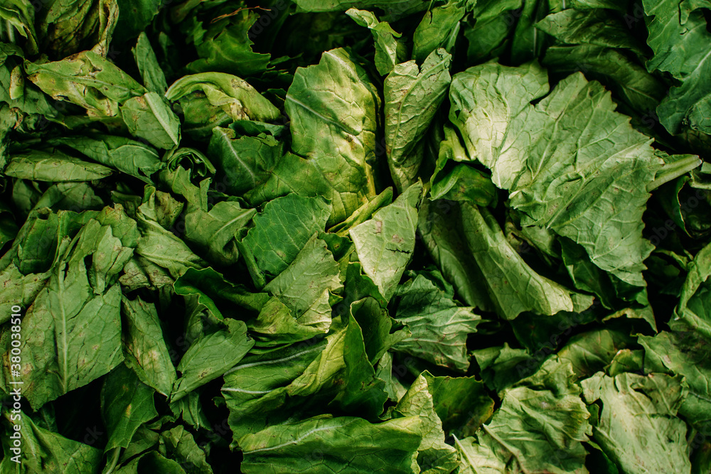 Vegetable scraps background. Vegetable scraps for composting. Vegetable scraps background. Vegetable scraps for composting.