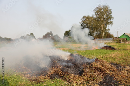 Smoking piles of straw in the field, burning dry potato tops in the village on an autumn day