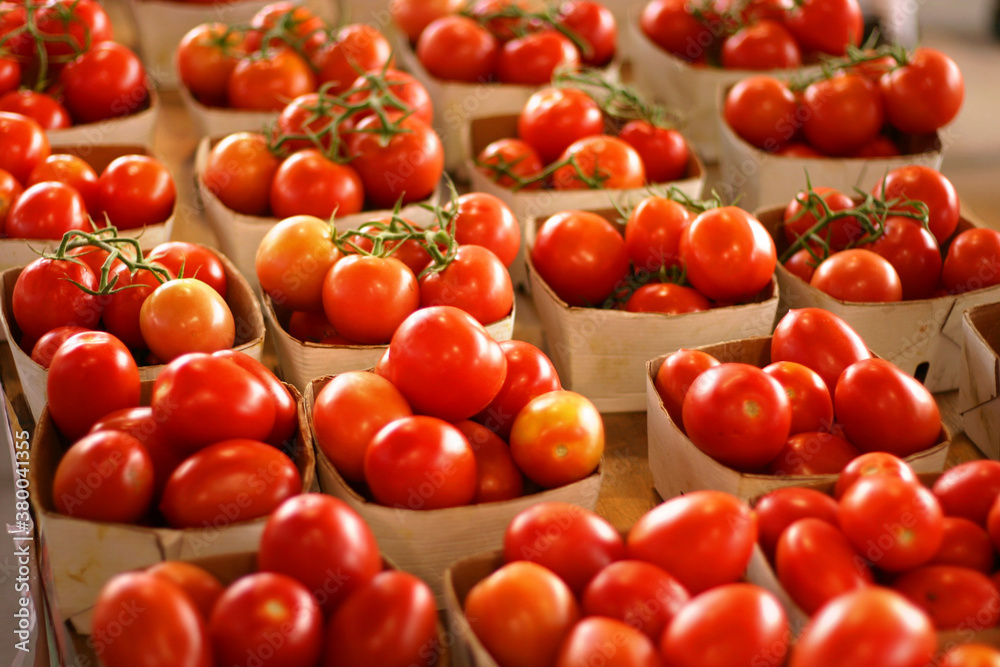 Tomatoes For Sale Tomatoes For Sale