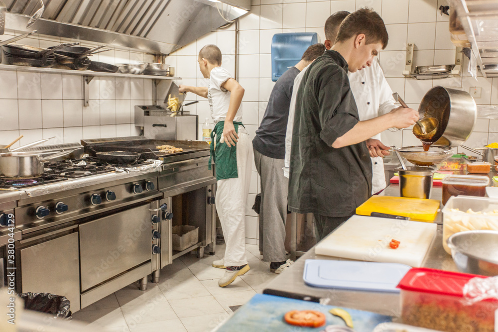 Professionals Working in the Restaurant Kitchen