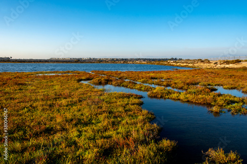 Coastal wetlands, known as the Inner Bolsa Bay, taken from the footbridge at the Bolsa Chica Ecological Reserve, a bird sanctuary, on the first day of fall.