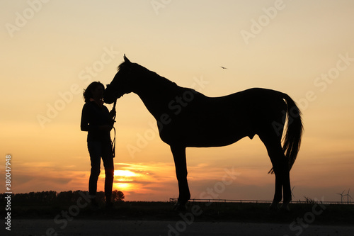 Pferdesilhouette im Sonnenuntergang © Nadine Haase