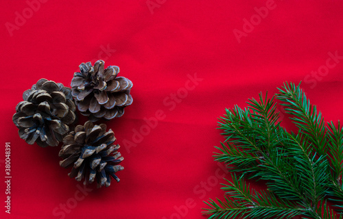 Three pine cones and green fir branches lie on a red background. The concept of the New year and Christmas