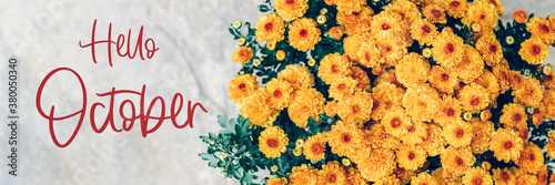 Hello October text and chrysanthemum
