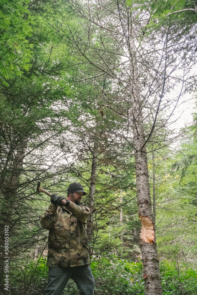 Man chopping down a tree with an ax Man chopping down a tree with an ax