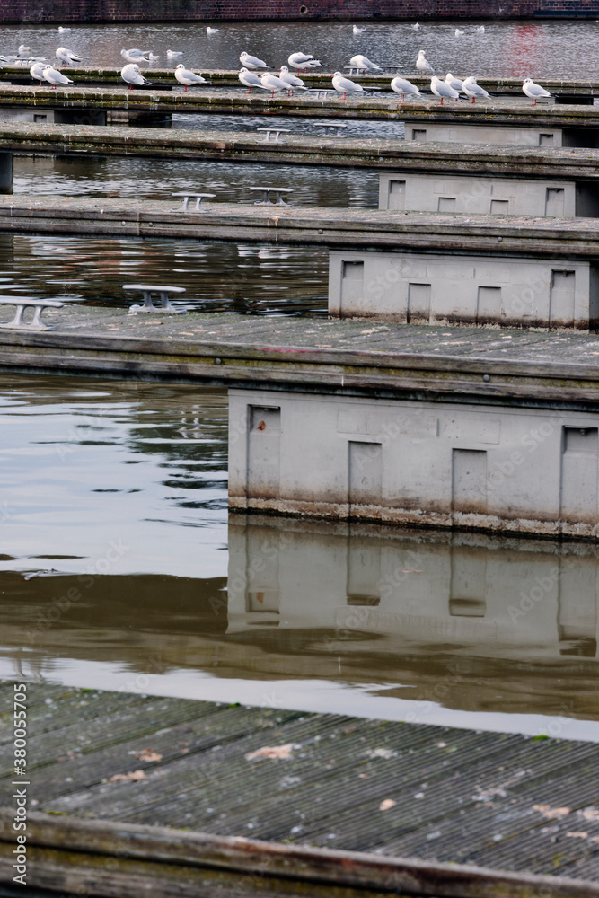 Canal docking area for boats / narrowboats, seagulls at top of picture Canal docking area for boats / narrowboats, seagulls at top of picture