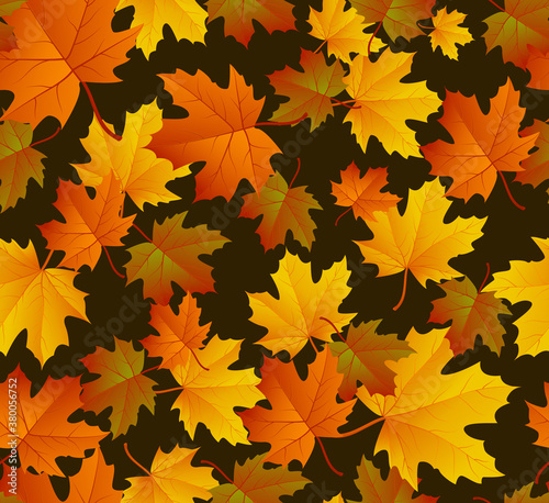 Autumn leaf pattern. Fall leaf decoration. Autumn background with maple leaf. Vector