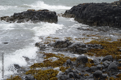 Imagine the Medieval pilgrims coming ashore here on the rugged coastline at Earlsferry on their way to St Andrews Cathedral, after crossing the First of Forth from North Berwick photo