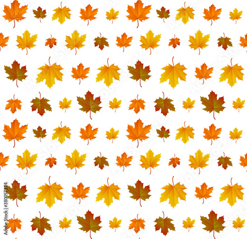 Autumn leaf pattern. Fall leaf decoration. Autumn background with maple leaf. Vector
