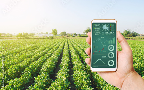 Farmer's holds a smartphone on a background of a field with a potato plantation. Scientific research. Hi-tech technology, innovation. Agroindustry and agribusiness. European organic farming.