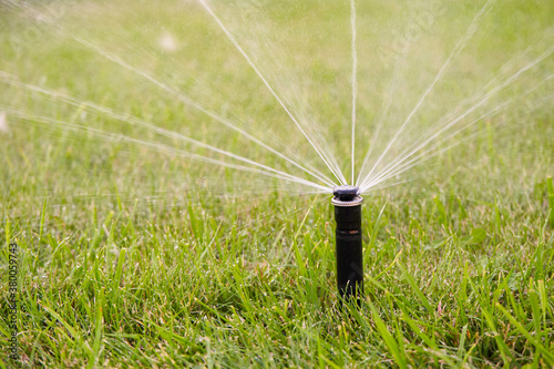 Automatic watering system watering the lawn in the home garden