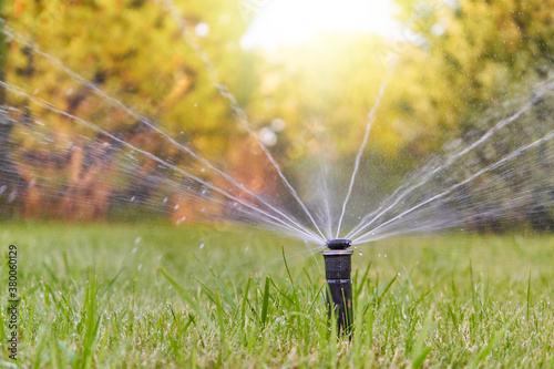 The lawn is watered by an automatic watering system in the garden