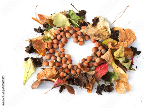 Autumn leaves and nuts formed a heart shape on a white background.